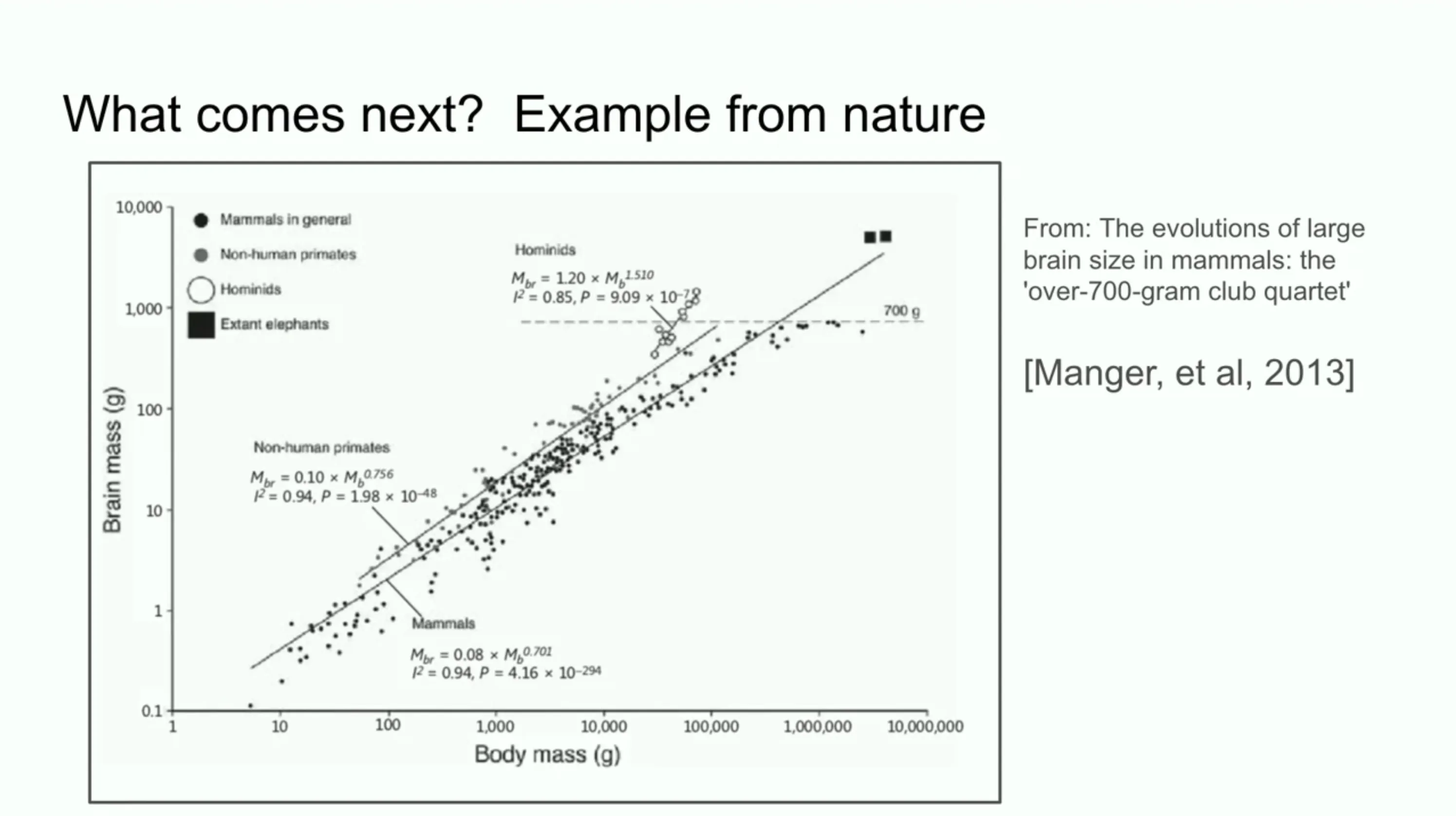 Chart of brain-to-body mass ratio over evolutionary time, on log axes, showing a shift from decelerating to accelerating growth.